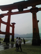 miyajima2.jpg