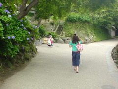 20090618-2.jpg